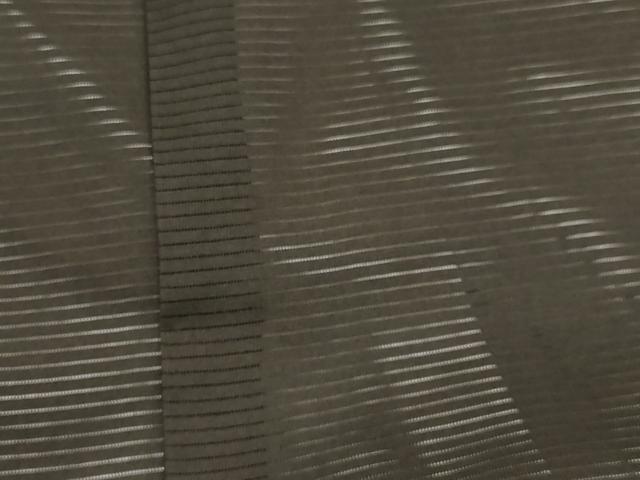 平和屋着物＊夏物 お宮参り 男の子 祝着 産着 初着 のしめ 絽 駒刺繍 鷹 鷲 松文 金彩 逸品 DABA3720ma