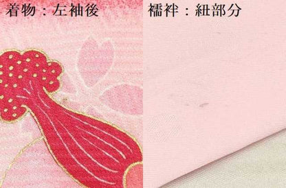 平和屋着物[]お宮参り　女の子　祝着　産着　初着　のしめ　鼓鞠花文　暈し染め　金彩　逸品　DABA3763ma