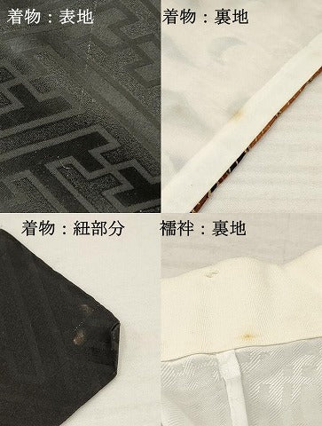 平和屋着物[]七五三　男の子　子供　祝着　襦袢付き　鷹　鷲　絵巻笹松文　金彩　逸品　DABA3900ma