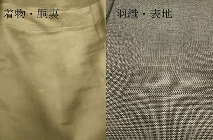 平和屋着物●男性　本場大島紬　アンサンブル　100亀甲　総詰め　正絹　逸品　DABA4011az