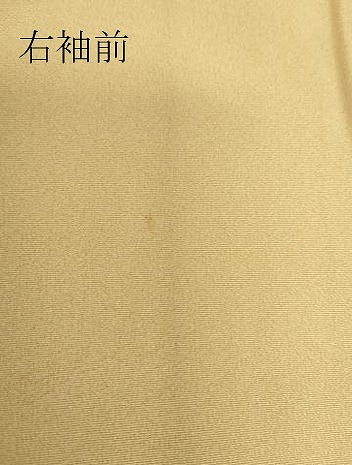 平和屋着物●訪問着　草花文　暈し染め　金彩　正絹　逸品DABA4082az