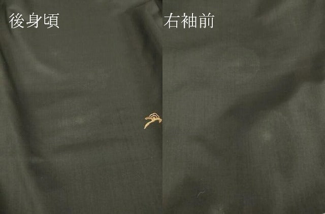 平和屋着物●中国三大刺繍 スワトウ刺繍 汕頭刺繍 訪問着 本場大島紬 舞鳥花文 金糸 正絹 逸品 未使用 DABA4384az
