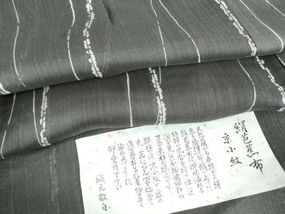 平和屋着物＊夏物 絹芭蕉 京小紋 よろけ縞 証紙付き 正絹 逸品 DABA4448az