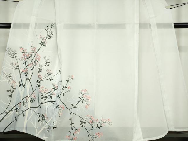 平和屋着物＊夏物 訪問着 絽 枝花文 暈し染め 洗える着物 DABA4482az