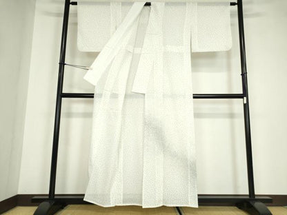 平和屋着物＊夏物 訪問着 絽 霰文 洗える着物 DABA4513az