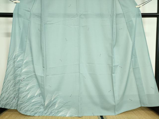 平和屋着物＊夏物 訪問着 絽 蜻蛉 洗える着物 DABA4523az