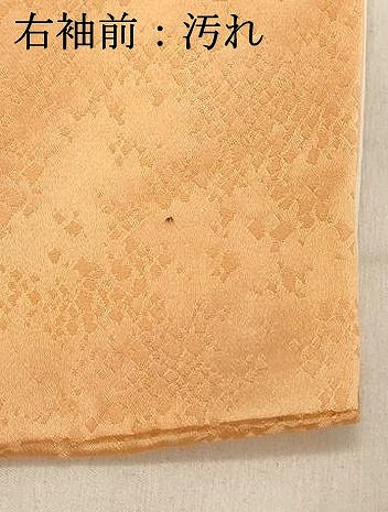 平和屋着物■上質な小紋　草花文　暈し染め　正絹　逸品　DABA5206cd