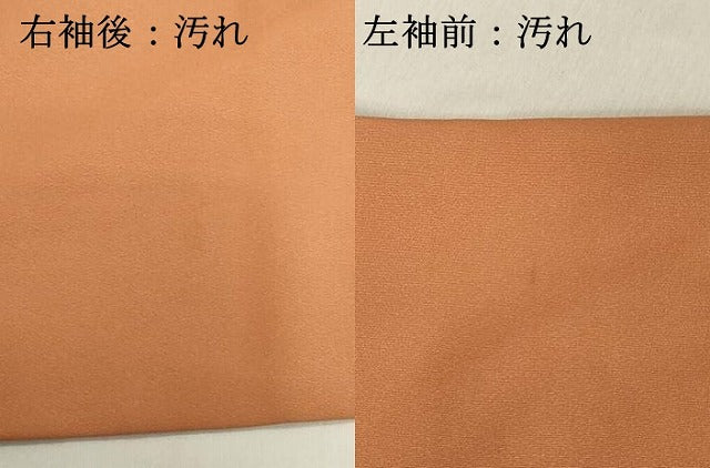 平和屋着物■豪華色留袖 道長花文 金銀糸 正絹 逸品 DABA5212cd