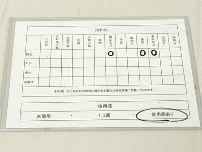平和屋着物◎六通柄袋帯　正倉院花文　銀糸　正絹　逸品　DABA5367cd