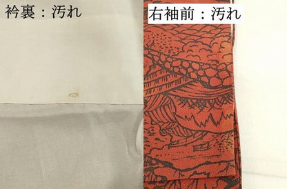 平和屋着物■上質な小紋　風景文　鬼しぼ縮緬　正絹　逸品　DABA5388cd