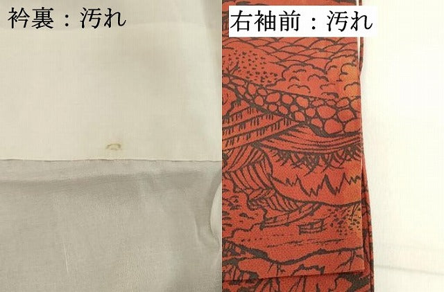 平和屋着物■上質な小紋　風景文　鬼しぼ縮緬　正絹　逸品　DABA5388cd