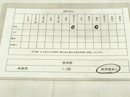 平和屋着物◎六通柄袋帯　風景文　金銀糸　正絹　逸品　DABA5972qp
