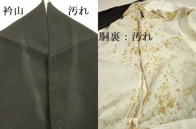 平和屋着物■豪華黒留袖　刺繍　尾長鳥風景花文　金彩　正絹　逸品　DABA6112op