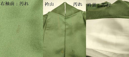 平和屋着物■訪問着　立波草花文　暈し染め　金彩　正絹　逸品　DABA6366op