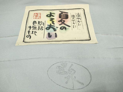 平和屋着物＊夏物 色無地 反物 着尺 駒絽 五泉 草木染 淡藤色 逸品 未使用 DABA7093zzz