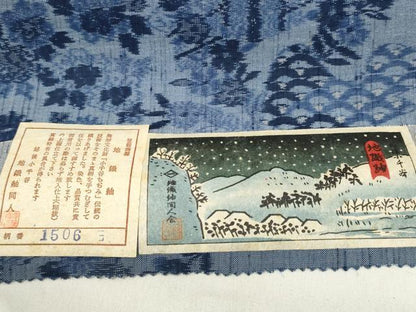平和屋着物＊夏物 東京の老舗呉服問屋 菱一 地織紬 反物 着尺 茶屋辻 小千谷織物謹製 証紙付き 逸品 未使用 DABA7120zzz