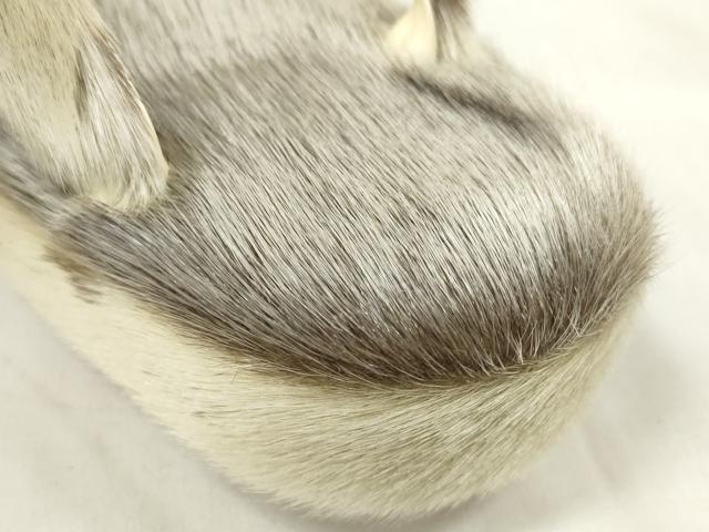平和屋着物●和装小物　和装草履　防寒草履　防雪草履　アザラシ　あざらし　箱付き　逸品　未使用　DABA7168zzz 平和屋着物○和装小物 和装草履 防寒草履 防雪草履 アザラシ あざらし