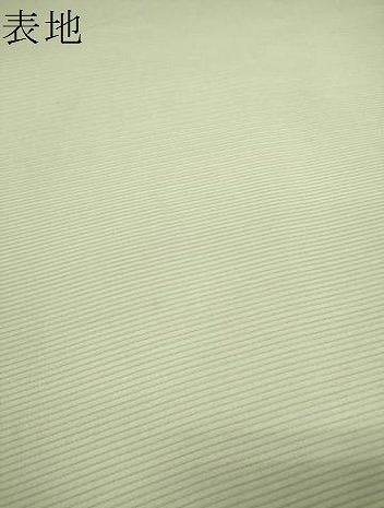 平和屋着物＊夏物 色無地 反物 着尺 駒絽 本草木染 五泉 抹茶色 逸品 未使用 DABA7341zzz