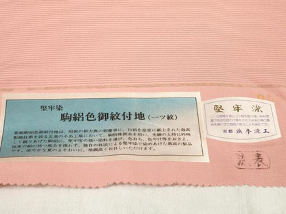 平和屋着物＊夏物 色無地 反物 着尺 駒絽 堅牢染 ときがら茶色 逸品 未使用 DABA7349zzz