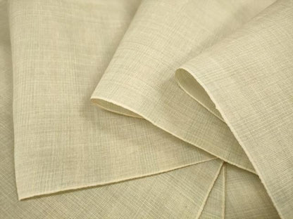 平和屋着物＊夏物　鹿児島芭蕉布　反物　着尺　霞文　証紙付き　麻　逸品　未使用　DABA7361zzz