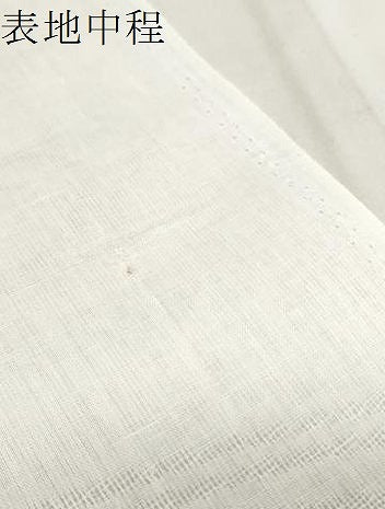 平和屋着物＊夏物　長襦袢　反物　着尺　流水紋紗　生成り色　洗える着物　未使用　DABA7365zzz