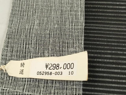 平和屋着物＊夏物 名古屋帯 帯反物 絽綴れ 清流 黒地 京都キキ工房謹製 上代29万 逸品 未使用 DABA7722zzz