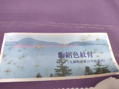 平和屋着物＊夏物 色無地 反物 着尺 駒絽 五泉 古代紫色 逸品 未使用 DABA7728zzz