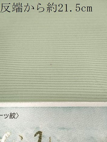 平和屋着物＊夏物 色無地 反物 着尺 駒絽 五泉 堅牢草木染 夏虫色 西武百貨店扱い 逸品 未使用 DABA7729zzz