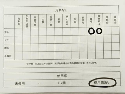 平和屋着物◎六通柄袋帯　唐織　京どんす　プラチナ箔二重織　正絹　逸品　DABA8339xg