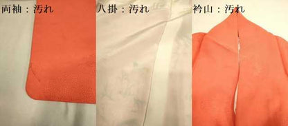 平和屋着物■上質な小紋 手描き 草花文 正絹 逸品 DABA8943du