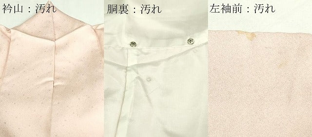 平和屋着物■豪華色留袖　駒刺繍　熨斗花文　金彩　正絹　逸品　DABA9734sf