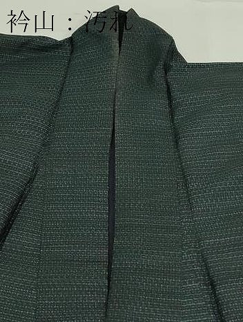 平和屋着物■男性　80亀甲　総詰め　正絹　逸品　DABA9894sf