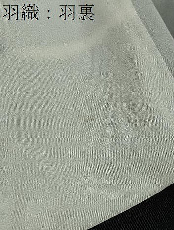 平和屋着物●男性　黒紋付　長羽織セット　羽裏：鷹　正絹　逸品　DABB0011ud