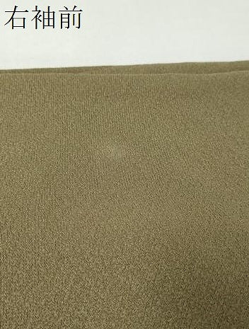 平和屋着物●豪華色留袖　地紙草花文　金銀彩　正絹　逸品　DABB0037ud