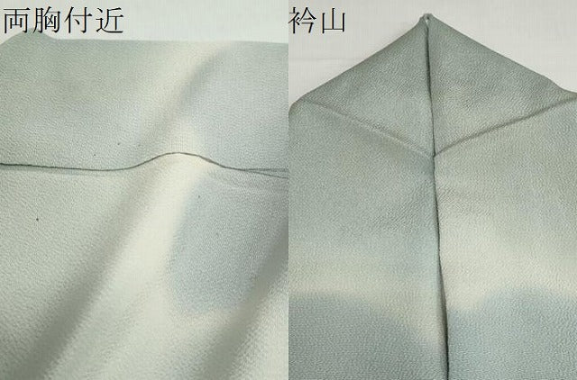 平和屋着物●訪問着　雪輪文　暈し染め　鬼しぼ縮緬　正絹　逸品　DABB0044ud