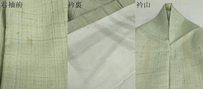 平和屋着物●訪問着 紬地 道長花鳥文 金彩 正絹 逸品 DABB0053ud