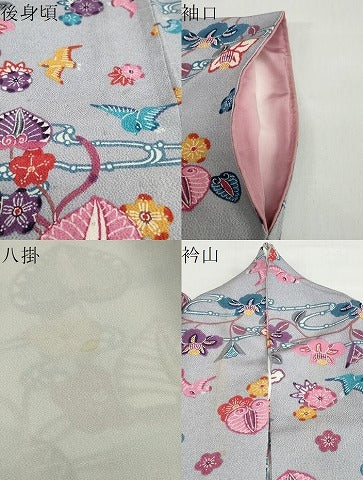 平和屋着物●上質な小紋　紅型　花鳥文　鬼しぼ縮緬　正絹　逸品　DABB0085ud