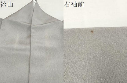 平和屋着物●豪華色留袖 流水飛鶴草花文 金彩 正絹 逸品 DABB0292ud