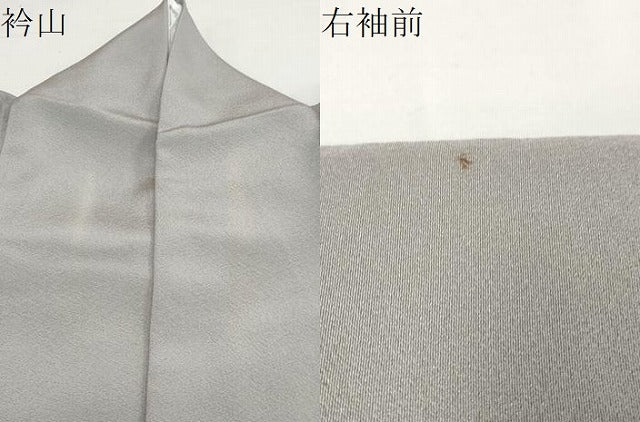 平和屋着物●豪華色留袖 流水飛鶴草花文 金彩 正絹 逸品 DABB0292ud