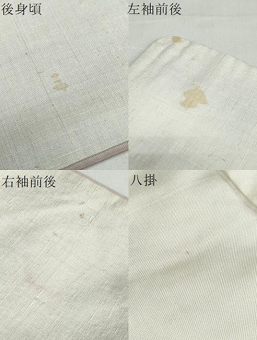 平和屋着物●小千谷紬 訪問着 群鶴草花文 正絹 逸品 DABB0320ud