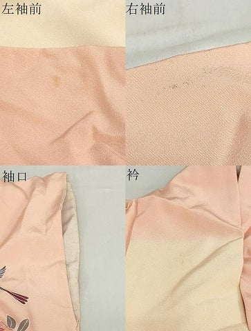 平和屋着物●訪問着 友禅 花鳥文 暈し染め 正絹 逸品 DABB0346ud