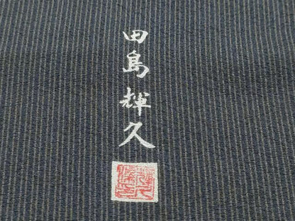 平和屋着物●伝統工芸士 田島輝久 訪問着 変わり縞 工芸染織小いけ謹製 正絹 逸品 DABB0360ud