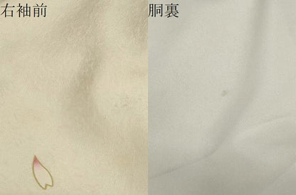 平和屋着物●豪華振袖 駒刺繍 雪輪草花文 暈し染め 金彩 正絹 逸品 DABB0362ud
