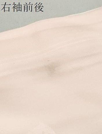 平和屋着物●振袖用長襦袢　無双仕立て　雪輪草花地紋　暈し染め　正絹　逸品　DABB0442ud