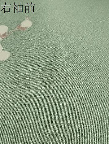 平和屋着物●訪問着 駒刺繍 絞り 雲取り草花文 金銀彩 正絹 逸品 DABB0460ud