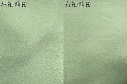 平和屋着物●訪問着 駒刺繍 地紙飛鶴草花文 金彩 正絹 逸品 DABB0480ud