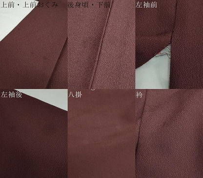 平和屋着物●洗える最高級着物 ＜英＞はなぶさ謹製 色無地 黒鳶色 洗える着物 DABB0484ud