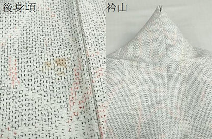平和屋着物●洗える最高級着物 ＜英＞はなぶさ謹製 小紋 花尽くし文 洗える着物 DABB0511ud
