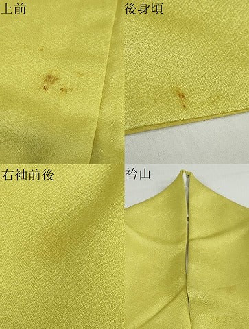 平和屋着物●小振袖 二尺袖 流水雪輪草花文 暈し染め 金彩 洗える着物 DABB0519ud