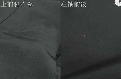 平和屋着物●十日町友禅作家 阿部佳雪 黒留袖 流水草花風景文 正絹 逸品 DABB0524ud
